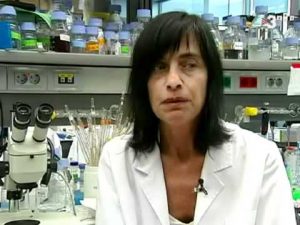La Dra. Mara Dierssen, neurobiológa del Centro de Regulación Genómica de Barcelona
