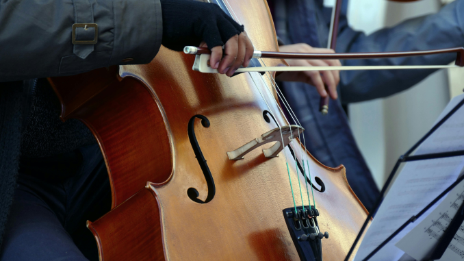 Violonchelo