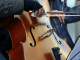 Violonchelo